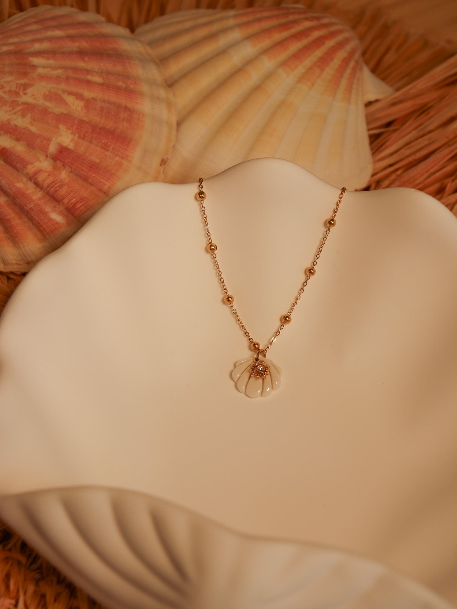 Collier coquillage en porcelaine avec chaine en acier inoxydable bijou femme tendance
