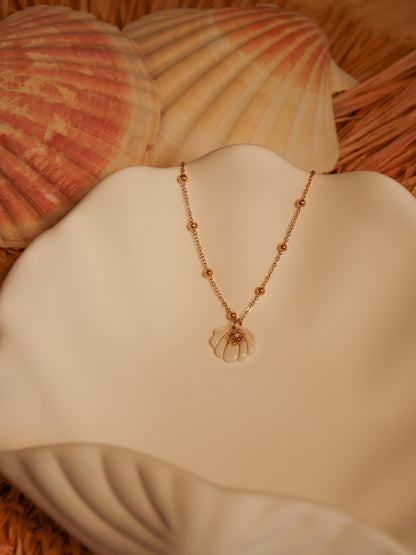 Collier coquillage en porcelaine avec chaine en acier inoxydable bijou femme tendance