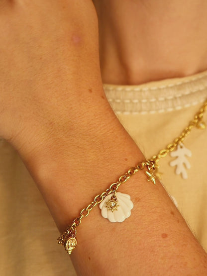 Bracelet coquillage en porcelaine - Vénus
